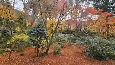 三千院門跡(京都府)