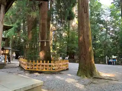 高千穂神社のその他建物