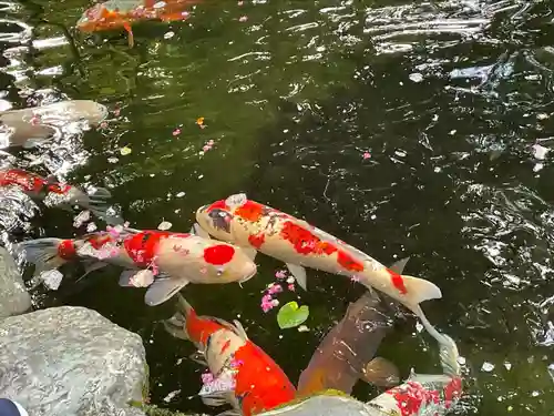 伊勢神宮内宮（皇大神宮）(三重県)