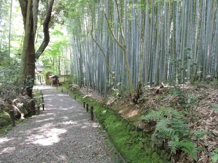 地蔵院(京都府)