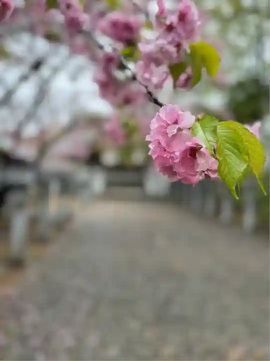 信濃神社(北海道)