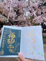 桜神宮の御朱印