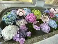 下野國一社八幡宮の手水舎