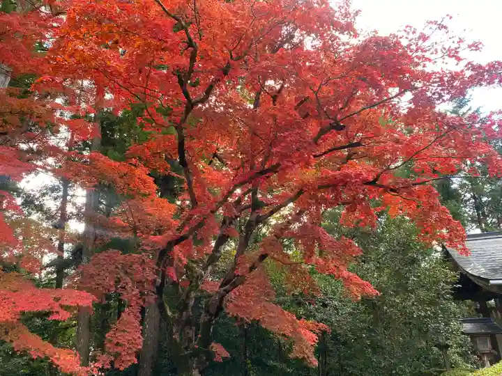 熊野本宮大社(和歌山県)