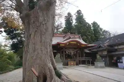 素鵞神社の本殿・本堂