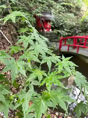 目の霊山 油山寺(静岡県)