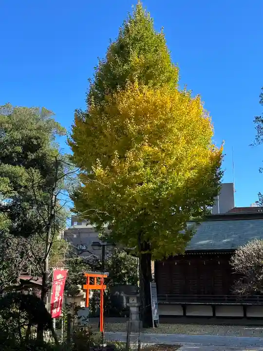布多天神社の自然