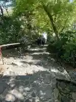 華厳寺(鈴虫寺)の{uncategorized: "未分類", other: "その他", undefined: "問題あり", building: "その他建物", grave: "お墓", sacred_gate: "鳥居", guardian: "狛犬", statue: "像", buddha: "仏像", history: "歴史", nature: "自然", garden: "庭園", animal: "動物", pagoda: "塔", temizu: "手水舎", mountain_gate: "山門・神門", sanctuary: "本殿・本堂", subordinate: "末社・摂社", art: "芸術", scenery: "景色", jizo: "地蔵", ema: "絵馬", goshuin: "御朱印", omikuji: "おみくじ", items: "授与品その他", amulet: "お守り", goshuincho: "御朱印帳", eats: "食事", festival: "お祭り", votive_dance: "神楽", shichigosan: "七五三参", wedding: "結婚式", experience: "体験その他", initially: "初詣", around: "周辺", anti_infection: "感染症対策"}