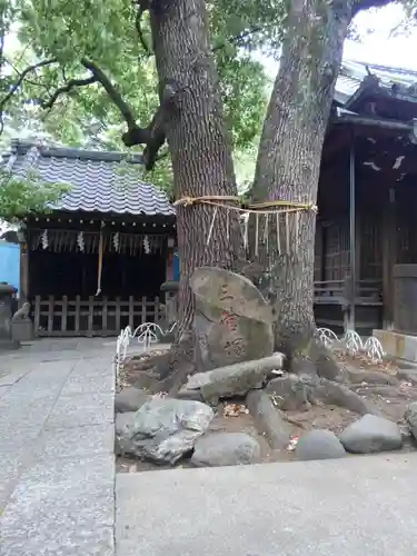 千住氷川神社(東京都)