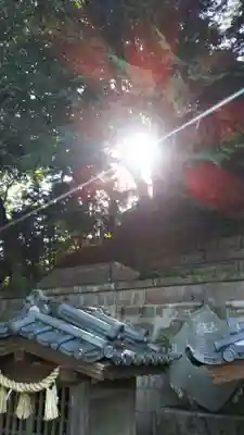 前玉神社のその他建物