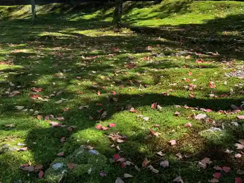 東福禅寺（東福寺）(京都府)