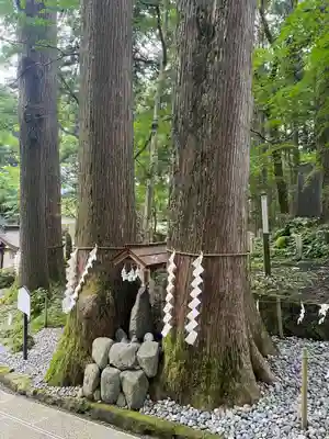 富士山東口本宮 冨士浅間神社(静岡県)