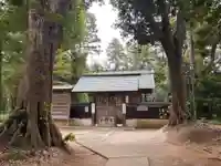 八王子神社(千葉県)