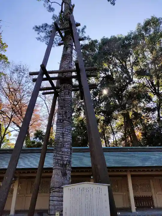 荻窪八幡神社(東京都)