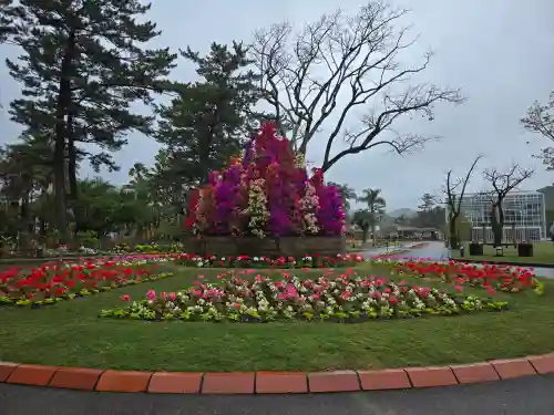 青島神社（青島神宮）(宮崎県)
