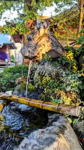 松戸神社(千葉県)