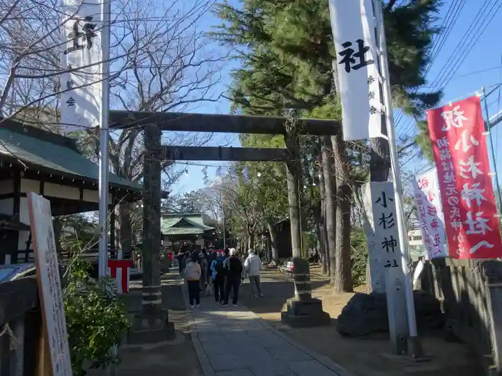 小杉神社(神奈川県)