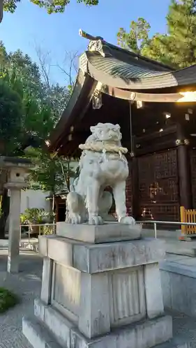 兵庫縣姫路護國神社の狛犬