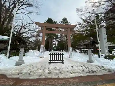 琴似神社の鳥居