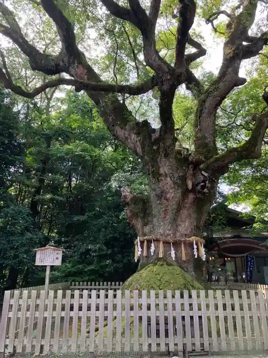 熱田神宮(愛知県)
