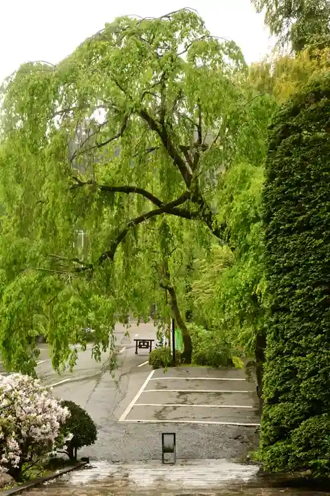 玉泉寺(埼玉県)