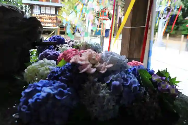 滑川神社 - 仕事と子どもの守り神の手水舎