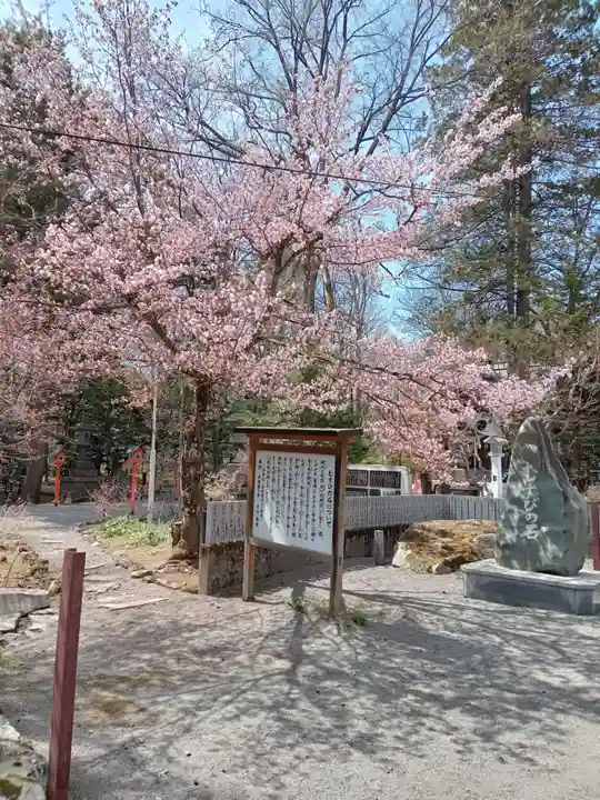 比布神社の自然