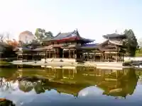 平等院の{uncategorized: "未分類", other: "その他", undefined: "問題あり", building: "その他建物", grave: "お墓", sacred_gate: "鳥居", guardian: "狛犬", statue: "像", buddha: "仏像", history: "歴史", nature: "自然", garden: "庭園", animal: "動物", pagoda: "塔", temizu: "手水舎", mountain_gate: "山門・神門", sanctuary: "本殿・本堂", subordinate: "末社・摂社", art: "芸術", scenery: "景色", jizo: "地蔵", ema: "絵馬", goshuin: "御朱印", omikuji: "おみくじ", items: "授与品その他", amulet: "お守り", goshuincho: "御朱印帳", eats: "食事", festival: "お祭り", votive_dance: "神楽", shichigosan: "七五三参", wedding: "結婚式", experience: "体験その他", initially: "初詣", around: "周辺", anti_infection: "感染症対策"}