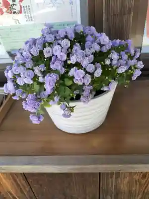 琴似神社(北海道)