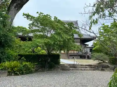 長興寺の御朱印