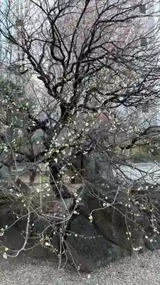 御霊神社(大阪府)