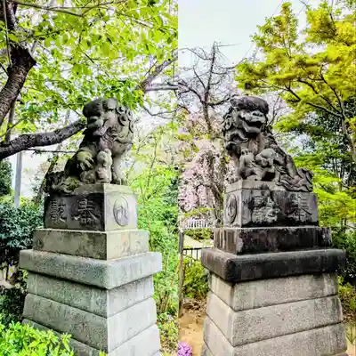 検見川神社の狛犬