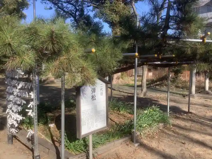 愛宕神社(横須賀)の自然