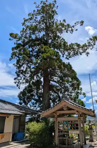 杉谷神社(三重県)