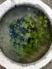 高砂神社の手水