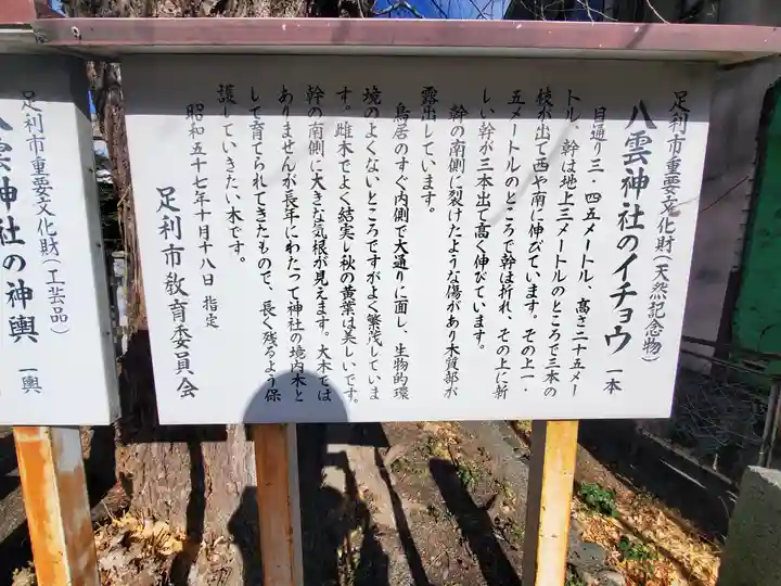 八雲神社 (通五丁目)(栃木県)