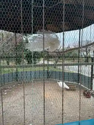 進雄神社(群馬県)