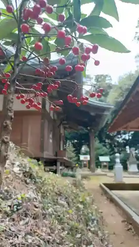 雨引千勝神社(茨城県)