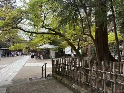 円覚寺(神奈川県)