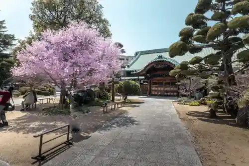 福祥寺（須磨寺）の本殿・本堂