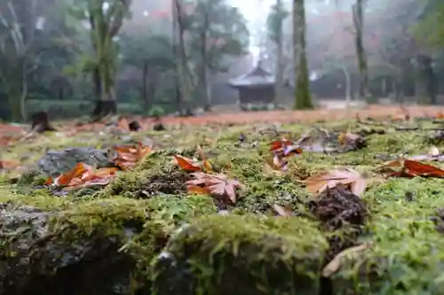 圓教寺の庭園