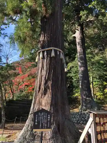 日枝神社(静岡県)