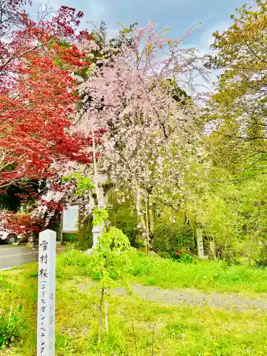 弘願寺の{uncategorized: "未分類", other: "その他", undefined: "問題あり", building: "その他建物", grave: "お墓", sacred_gate: "鳥居", guardian: "狛犬", statue: "像", buddha: "仏像", history: "歴史", nature: "自然", garden: "庭園", animal: "動物", pagoda: "塔", temizu: "手水舎", mountain_gate: "山門・神門", sanctuary: "本殿・本堂", subordinate: "末社・摂社", art: "芸術", scenery: "景色", jizo: "地蔵", ema: "絵馬", goshuin: "御朱印", omikuji: "おみくじ", items: "授与品その他", amulet: "お守り", goshuincho: "御朱印帳", eats: "食事", festival: "お祭り", votive_dance: "神楽", shichigosan: "七五三参", wedding: "結婚式", experience: "体験その他", initially: "初詣", around: "周辺", anti_infection: "感染症対策"}