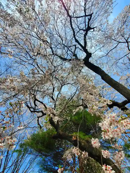 関川寺(福島県)