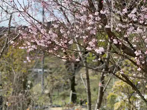 円通寺(神奈川県)