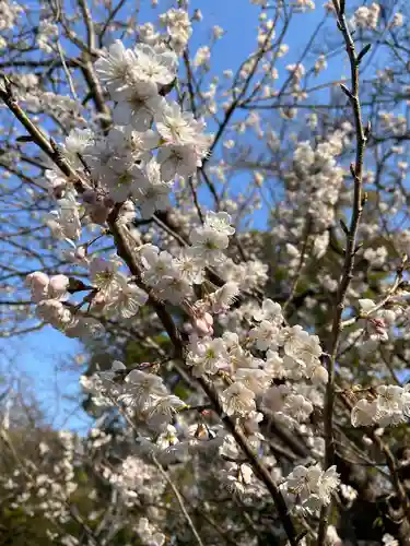 石清水八幡宮(京都府)