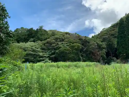 大山祇神社の自然