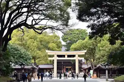 明治神宮の鳥居