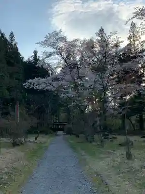 慈雲寺(並び地蔵 化け地蔵)の自然