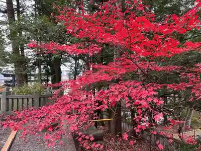 諏訪大社下社秋宮(長野県)